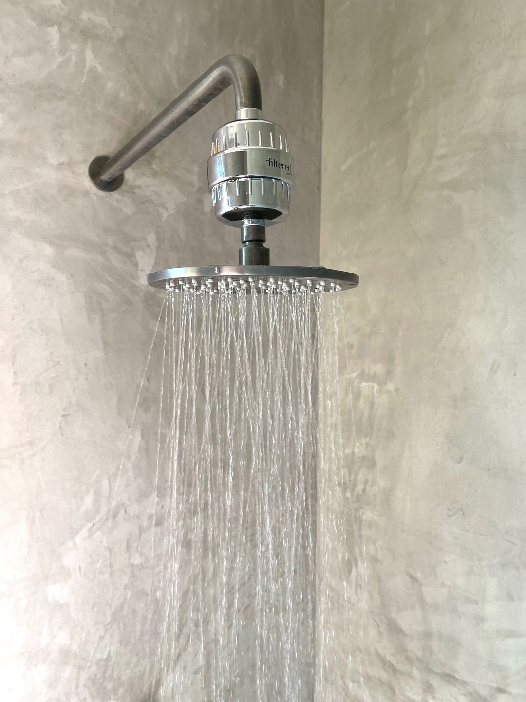 Shower Purifier - Silver